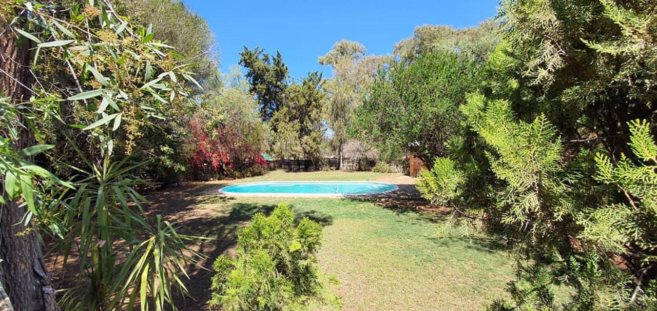 Welgeluk Feather Palace Oudtshoorn Extérieur photo